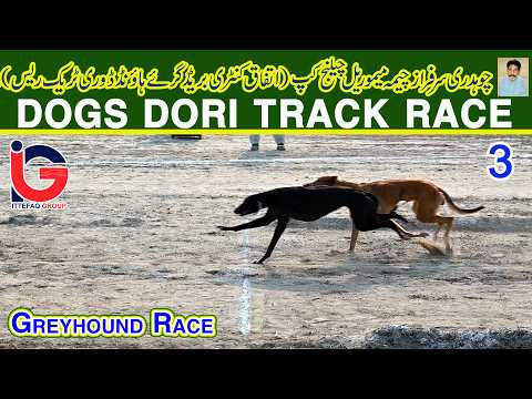 Dori Track Race || Ch. Sarfaraz (M) Challenge Cup 2026 || 3rd Round || 10-02-26 #dog #viral #fyp