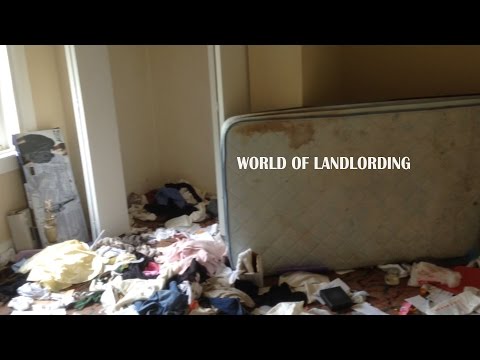 Tenant abandons cat and trashes apartment