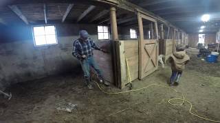 From a horse barn to a cow barn!