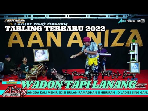 LAGU TERBARU 2022 - WADON TAPI LANANG - VOC. PRINCESS ITILIA FEAT WA KORONG
