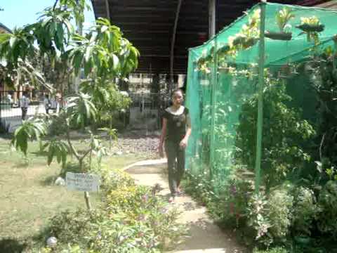 no boundaries the never heard one (bloopers)