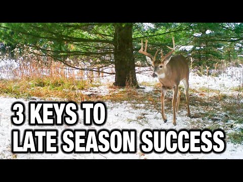 3 Keys to Late Season Deer Hunting Success