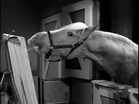 Mister Ed: Seasons 1 & 2 - DVD Trailer