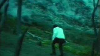 Dir en Grey - 304 Goushitsu, Hakushi no Sakura