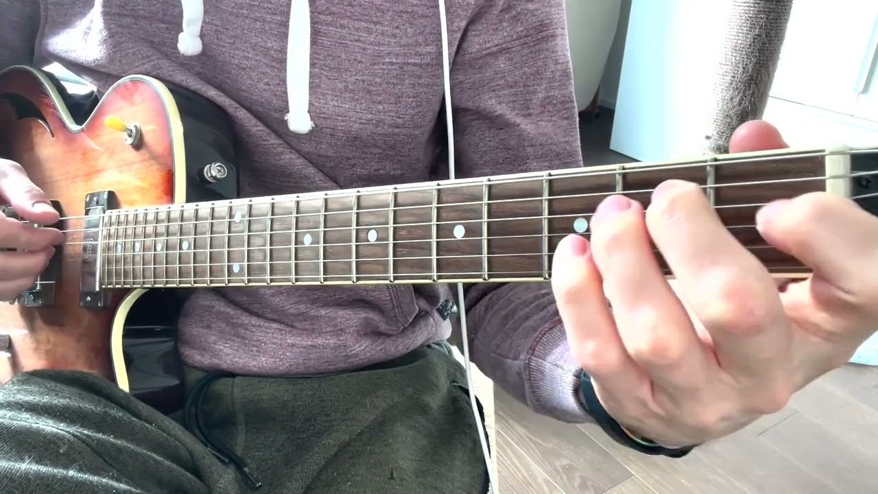 Roberto Barlocci playing For The Damaged Coda fingerstyle on solo guitar