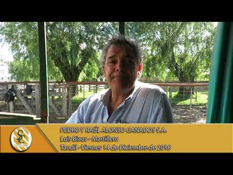 14-12-18 Nota Luis Biaus - Martillero - Pedro y Raúl Alonso Ganados S.A. - Tandil
