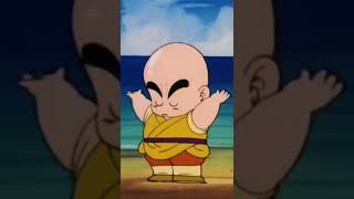 Cover art for Evolution of dbz characters