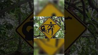 Download lagu Rambu Lalu Lintas Unik yang ada di Jalanan #viral #shorts #pengetahuan #traffic #trafficsigns #video mp3 Download lagu Rambu Lalu Lintas Unik yang ada di Jalanan #viral #shorts #pengetahuan #traffic #trafficsigns #video mp3