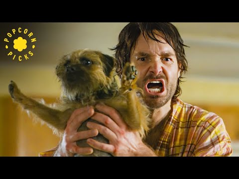 Dogs vs. Doug Finale | Strays