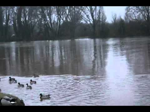 Rippling Waters video thumbnail