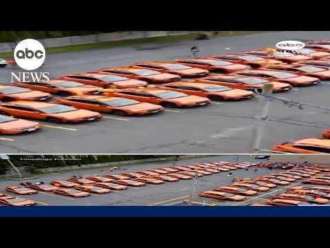 Annual Orange Subaru parade and meetup gains popularity