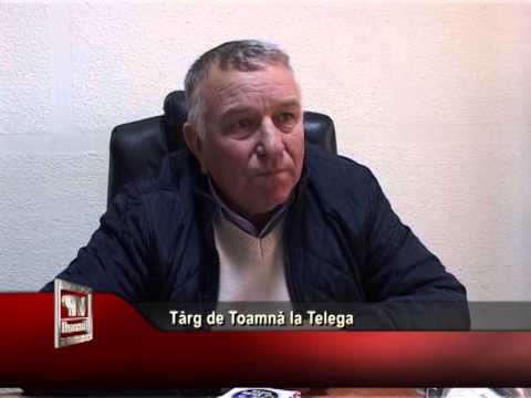 Târg de Toamnă la Telega
