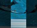 Unboxing A Blue Snake…. Dang