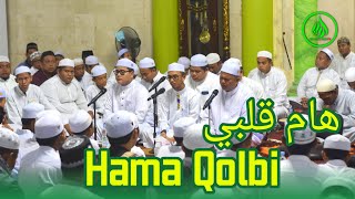 Download lagu Hama Qolbi - Guru Fahmi Sekumpul mp3