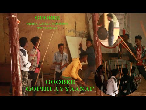 shaakala goobee garee hawwisoo hoolotan