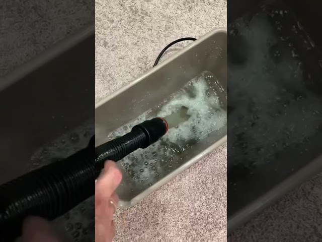 Сколько грязи в вашем ковролине 