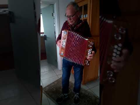 Accordion - German Music