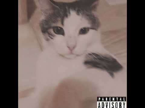 Number 1 - lil mushy (Official audio)