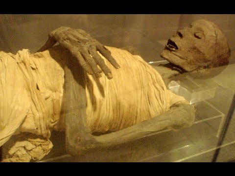 download lagu mp3 mp4 Mummy Moves, download lagu Mummy Moves gratis, unduh video klip Mummy Moves