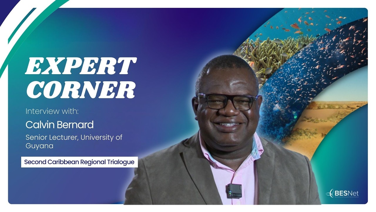 Expert Corner with Calvin Bernard at the BES-Net Second Caribbean Regional Trialogue
