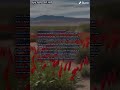 New Mexico Red and Green Chili Rap Song - #2