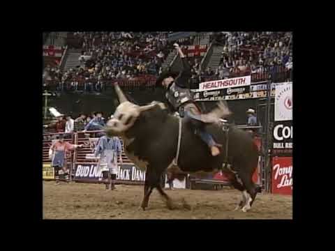 Final Answer bucks Curt Lyons - 00 PBR Portland