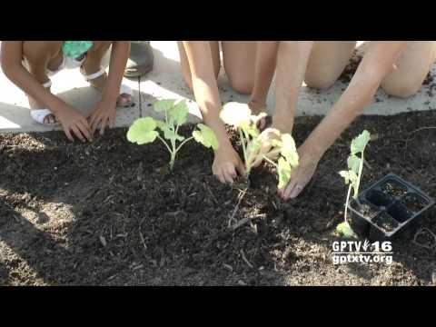 City of Grand Prairie: Summer Camp Growing Kids