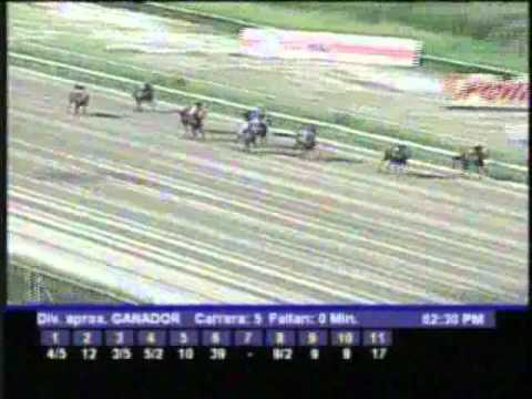 Resumen Domingo, 18 de Diciembre de 2011 - La Rinconada