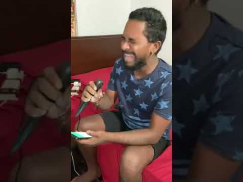 Soyanne Ape Adare Cover - Dulaj Ashen