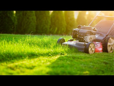 Låt Ruts tjänster hjälpa dig med din trädgård om du bor dig som bor i Varberg och Marks kommun.
