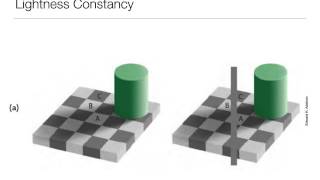 Perception: 5.4 Color and Light Constancy