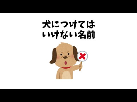 犬の面白い名前