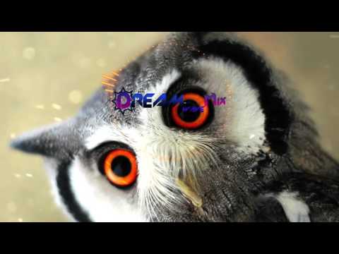 Dj inappropriate - Aracuan 2016 [bootleg]