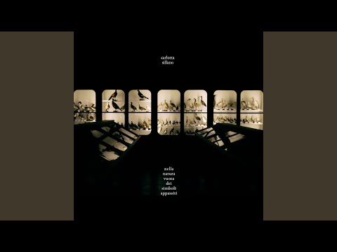 video frame placeholder