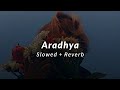 Aaradhya Slowed Reverb Kushi