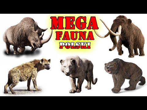 Prehistoric MEGA Animals of Poland