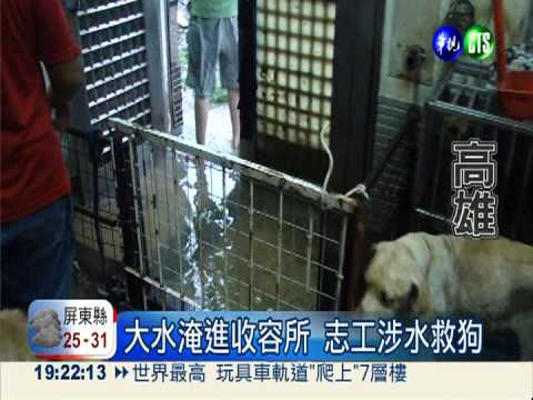 水淹流浪協會 百隻泡水狗皮皮剉