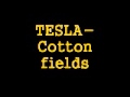 TESLA- Cotton fields