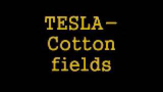 TESLA- Cotton fields