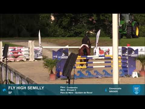 FLY HIGH SEMILLY (Contendro x Quidam de Revel) CIR 6ans/6YO Saint-Lô 2021 - Round 1