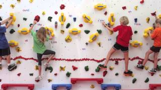 Indoor Safari Monkey Bars video thumbnail 2