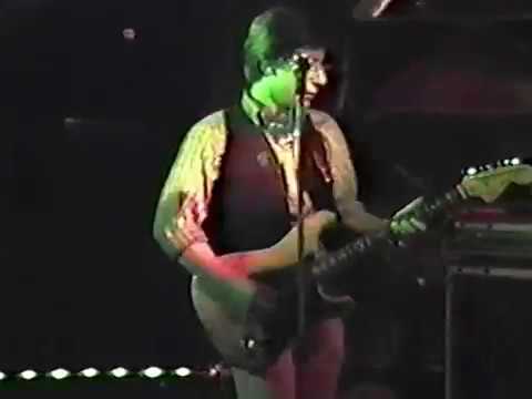 ALGIBE Perros Callejeros