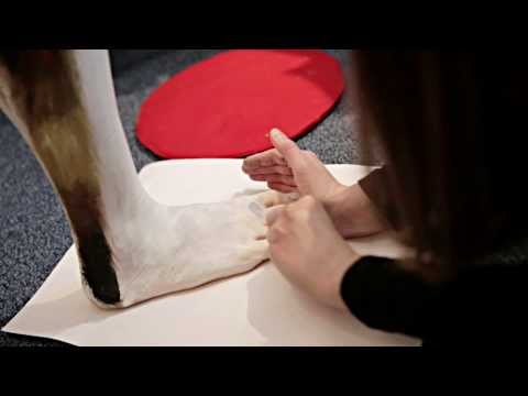 Jonathan Macauley Photography video.