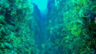 Video Canons | CANONS DE TAMARIU (CAÑONES DE TAMARIU) - Girona Palamós Spain foto 14