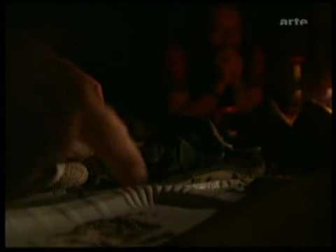 Magic Mushrooms - Magische Pilze *german DOKU* part 4/5