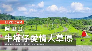 Chiayi · Niupuzai Grassland live stream