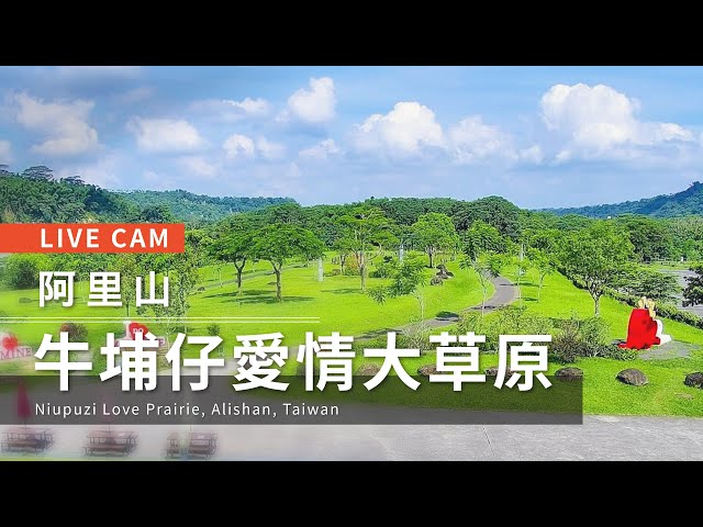 牛埔仔大草原