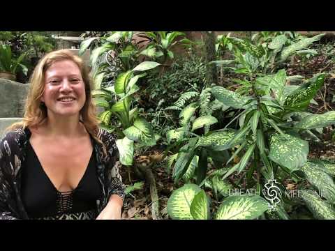 download lagu mp3 mp4 Annabel James, download lagu Annabel James gratis, unduh video klip Download Annabel James Mp3 dan Mp4 Music Online Gratis