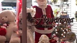 Feliz Navidad & A Happy New Year