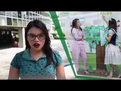 Boletim IFAM-CMC/ 08